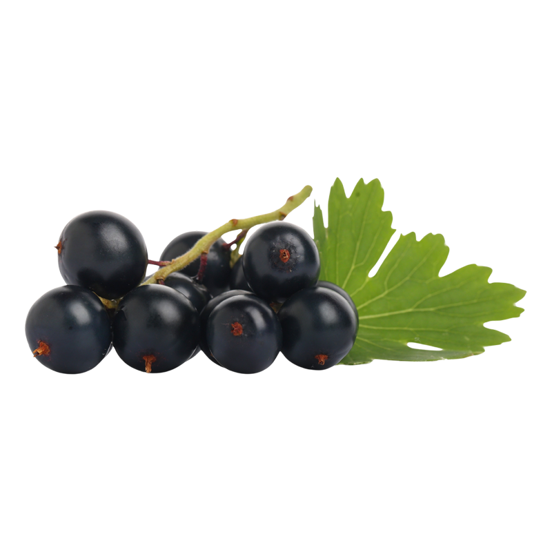 ESTRATTO DI ACAI BERRY